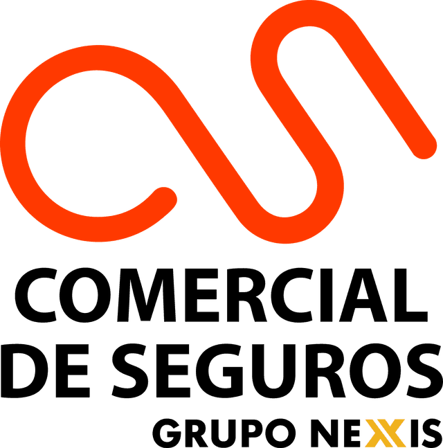 Comercial de Seguros Partner Image
